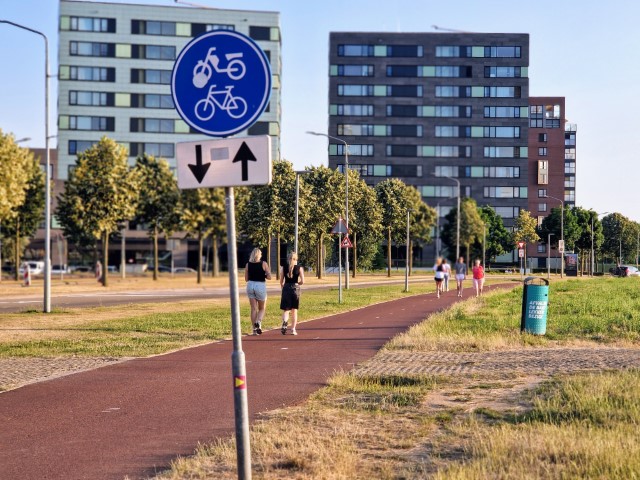 Maaswaard005.jpg