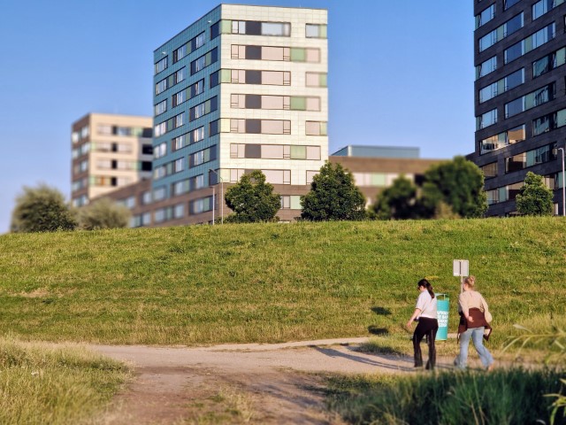 Maaswaardt004.jpg