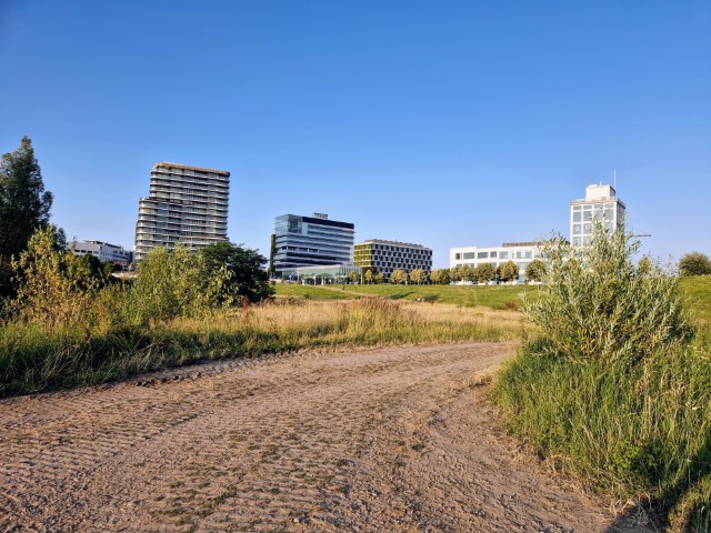 Maaswaart_001.jpg